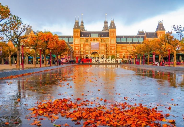 What Type Of Company Should You Choose When Starting Company In